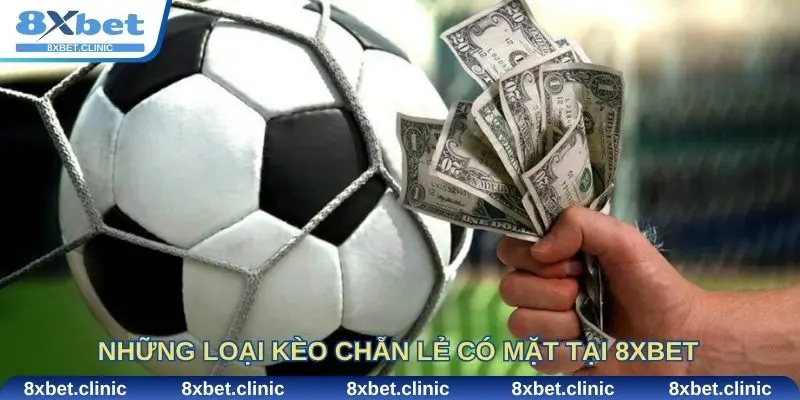 Những loại kèo chẵn lẻ có mặt tại 8xbet và cách tham gia hiệu quả