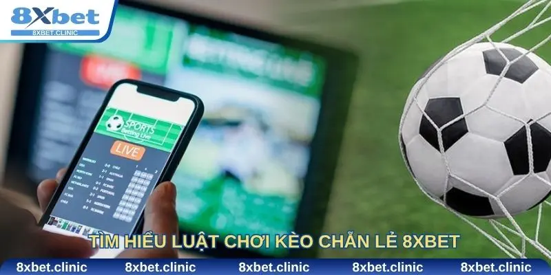 Tìm hiểu luật chơi kèo chẵn lẻ 8xbet để bắt kèo chính xác hơn